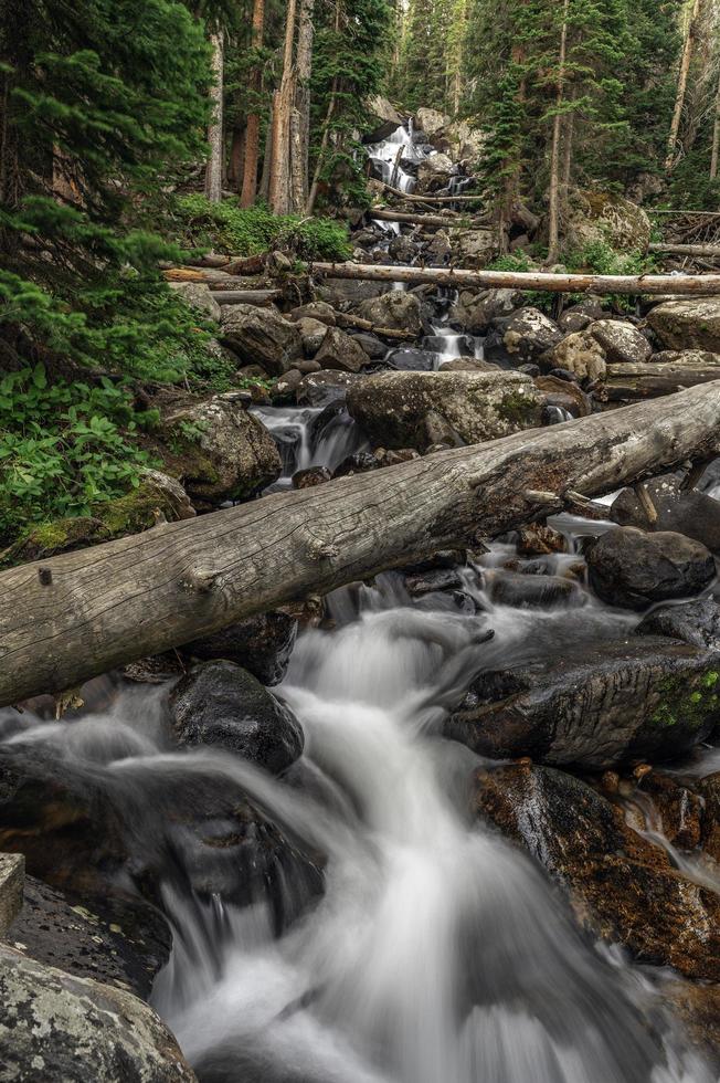 calypso cascades l'heure d'été dans le bassin sauvage photo