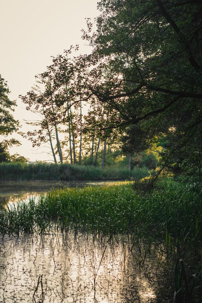 nature lagon sous un ciel clair photo