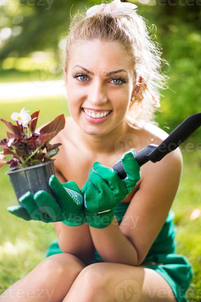 planter des fleurs vue photo