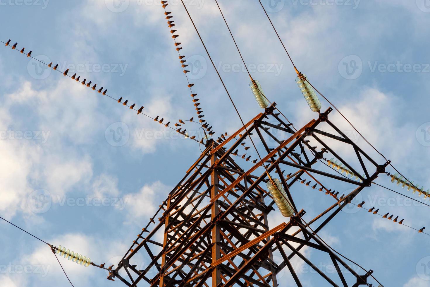 un grand groupe d'oiseaux assis sur les fils électriques. photo