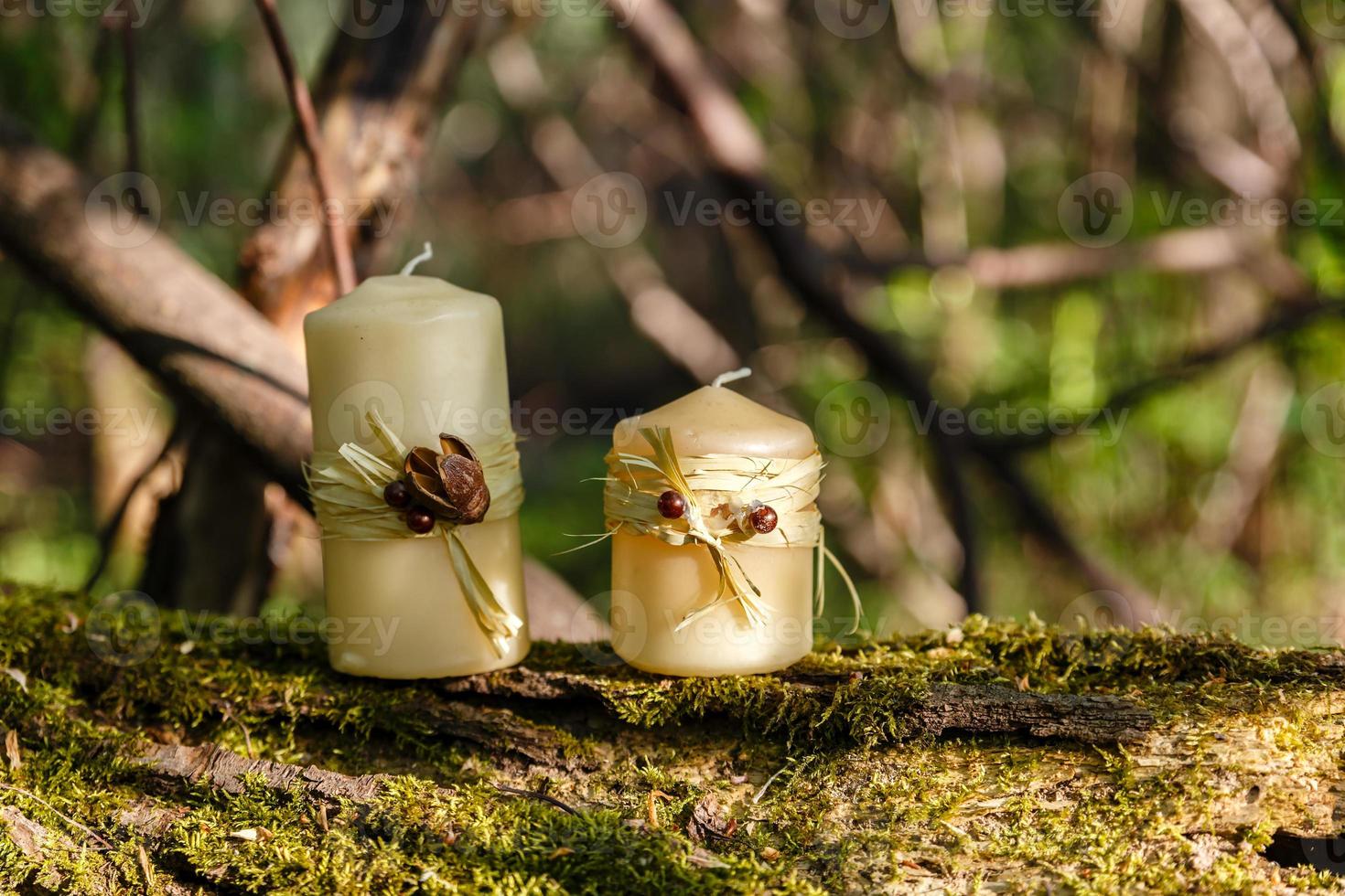 deux bougies, deux bougies sur une vieille bûche dans la forêt. photo