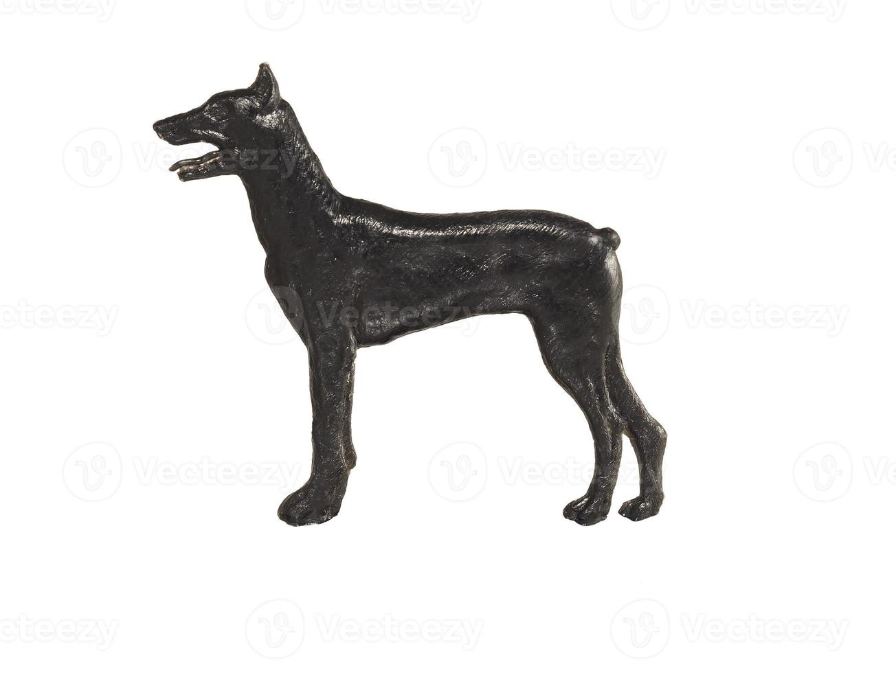 figure de chien noir sur fond blanc, doberman pinscher photo