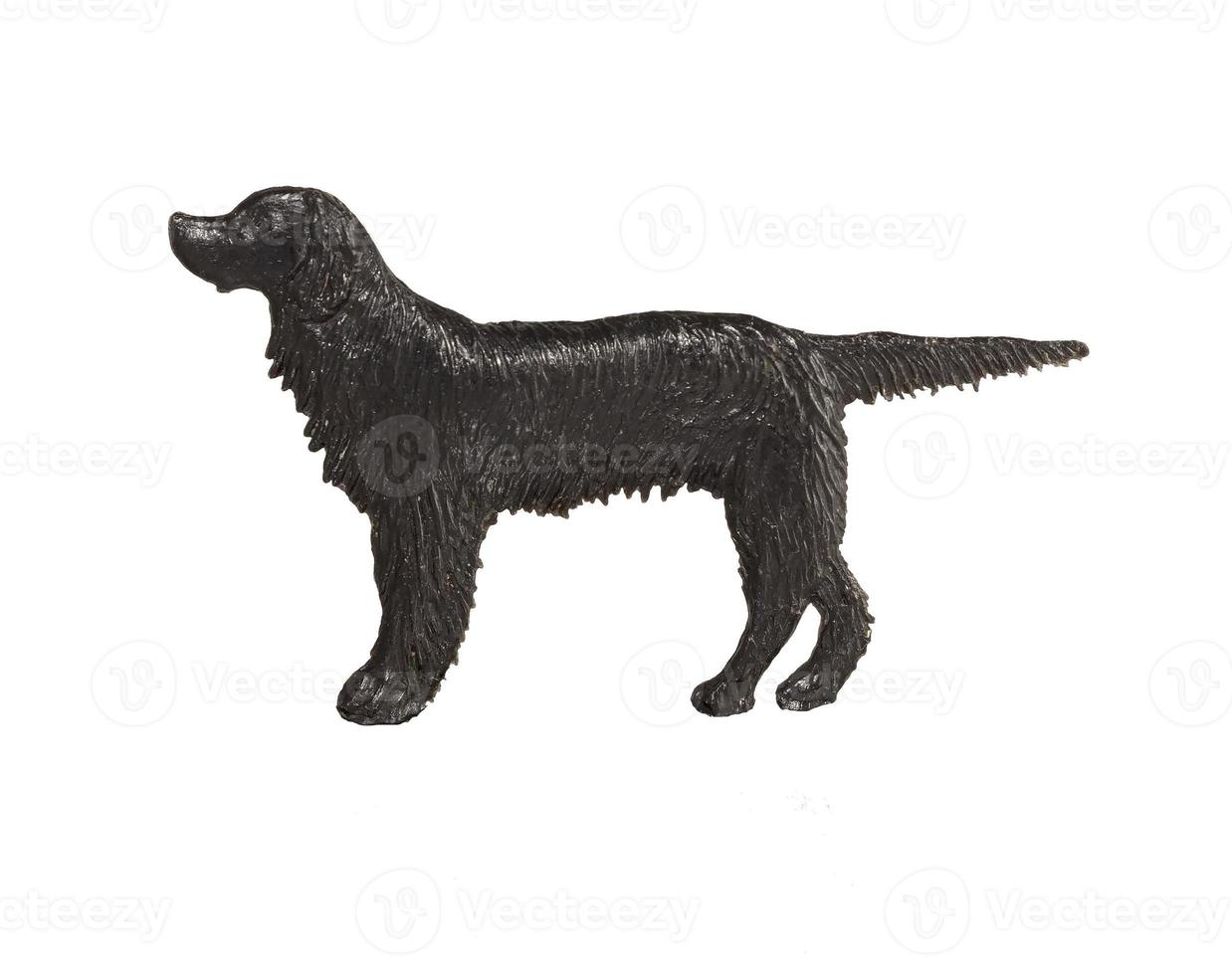 figure de chien noir sur fond blanc, setter anglais photo