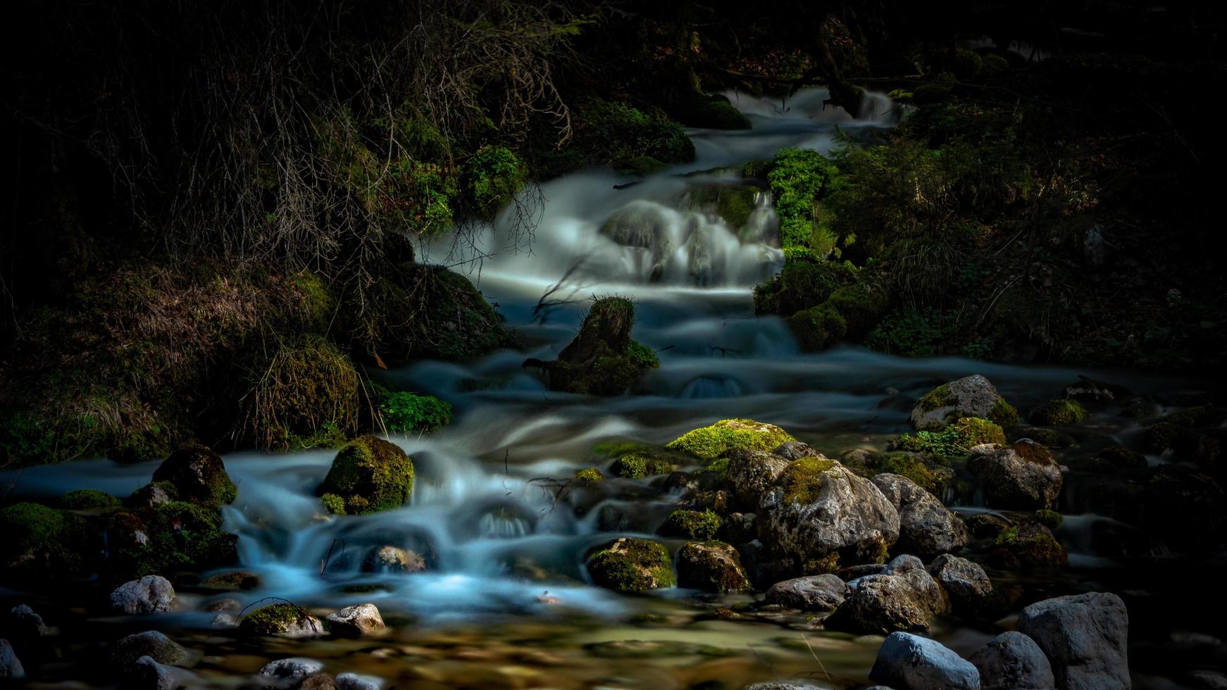 cascades dans une forêt sombre photo