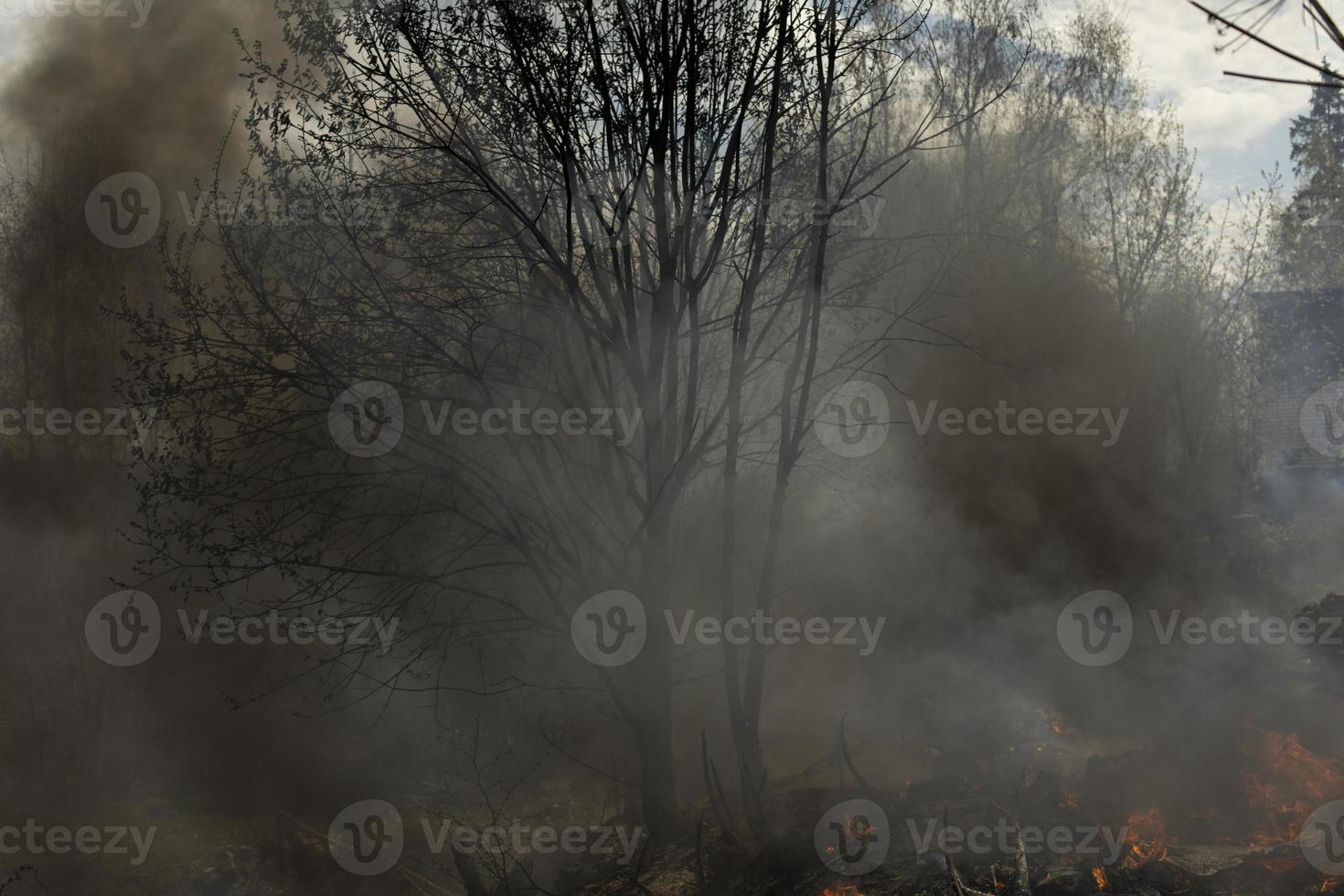 feu en forêt. fumée et feu dans la nature. brûler des ordures. photo