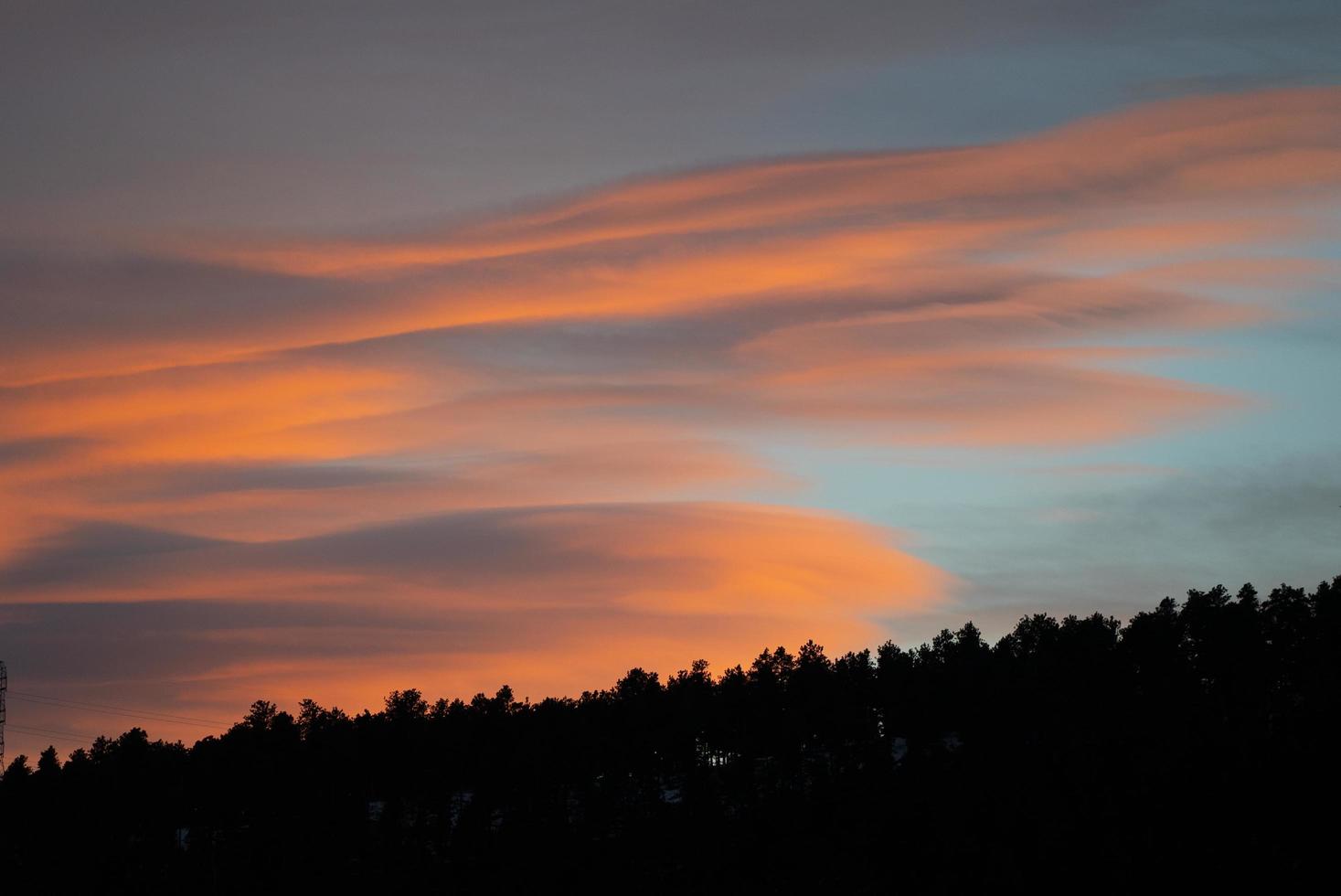 silhouette d'arbres au coucher du soleil photo