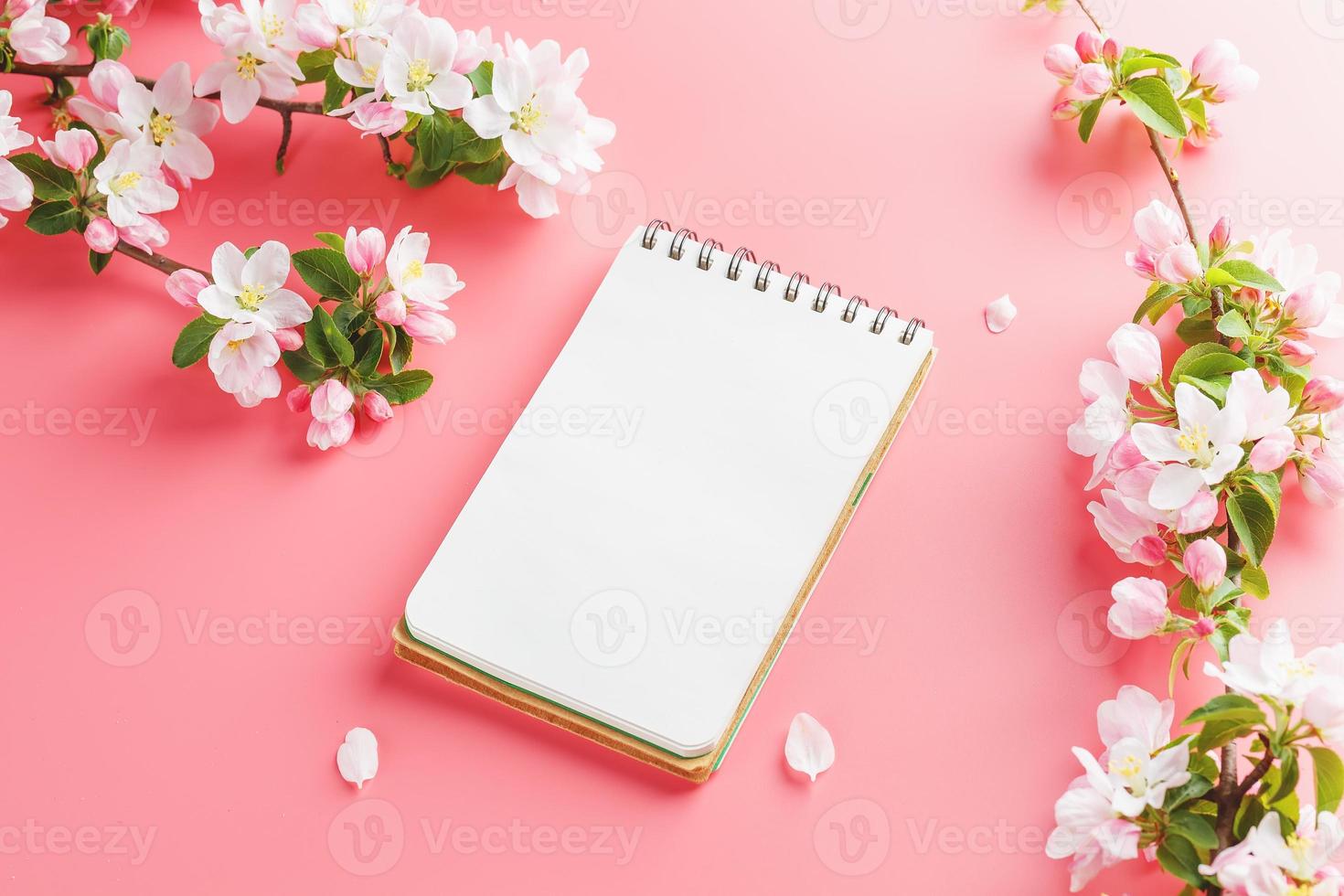 sakura de printemps en fleurs sur fond rose avec espace bloc-notes pour le message d'accueil. le concept du printemps et de la fête des mères. belles fleurs de cerisier roses délicates au printemps photo