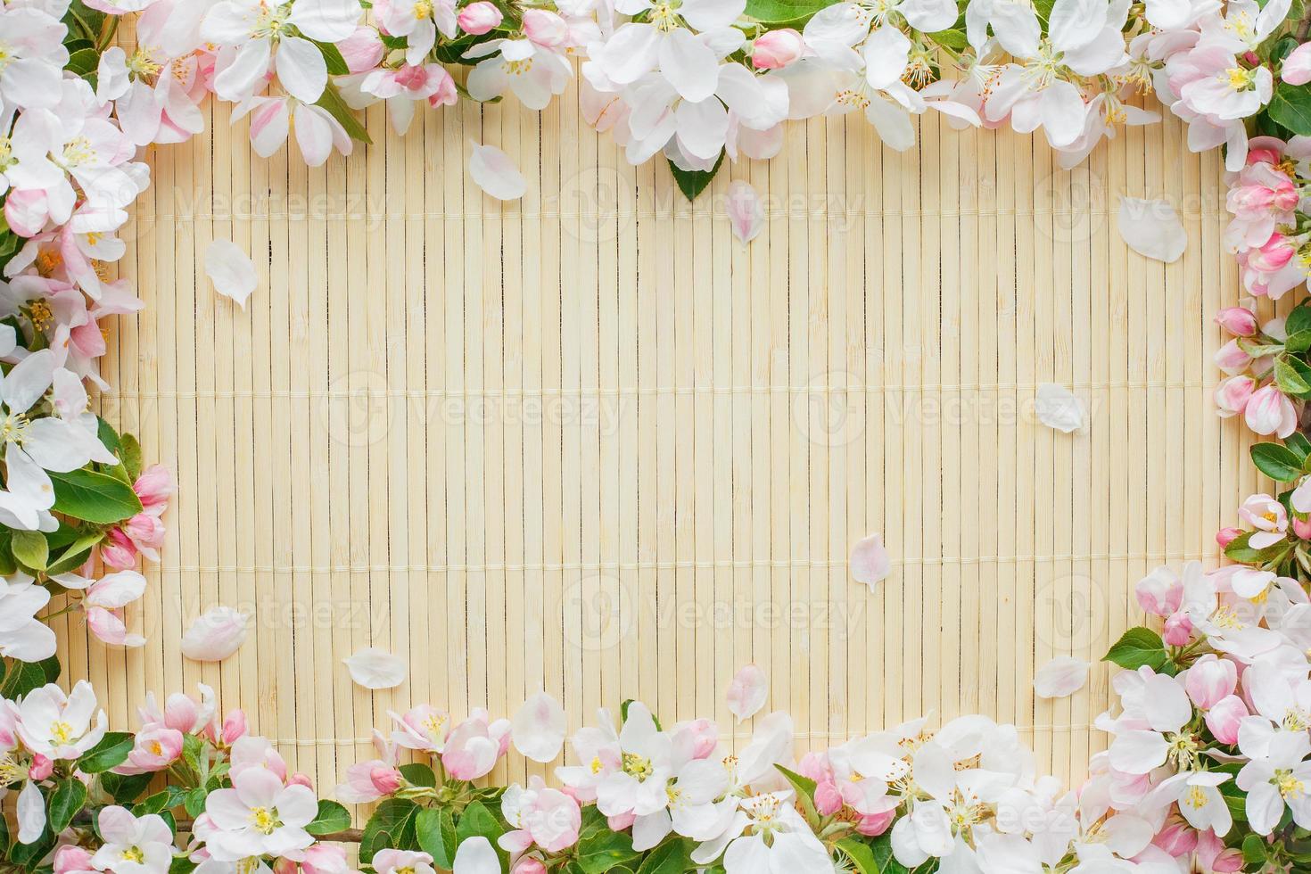 cadre de fleurs printanières de sakura sur fond de bambou. belle fleur de cerisier sakura au printemps photo