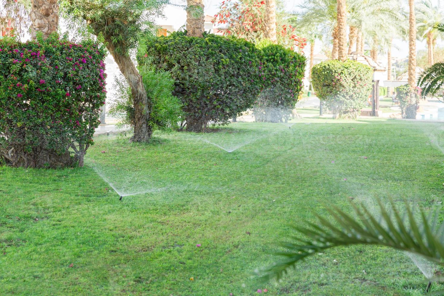 système d'irrigation de pelouse fonctionnant dans un parc verdoyant.  arroser la pelouse avec de l'eau par temps chaud. arroseur automatique. la  tête d'arrosage automatique arrosant la pelouse. jardin intelligent.  4539280 Photo de