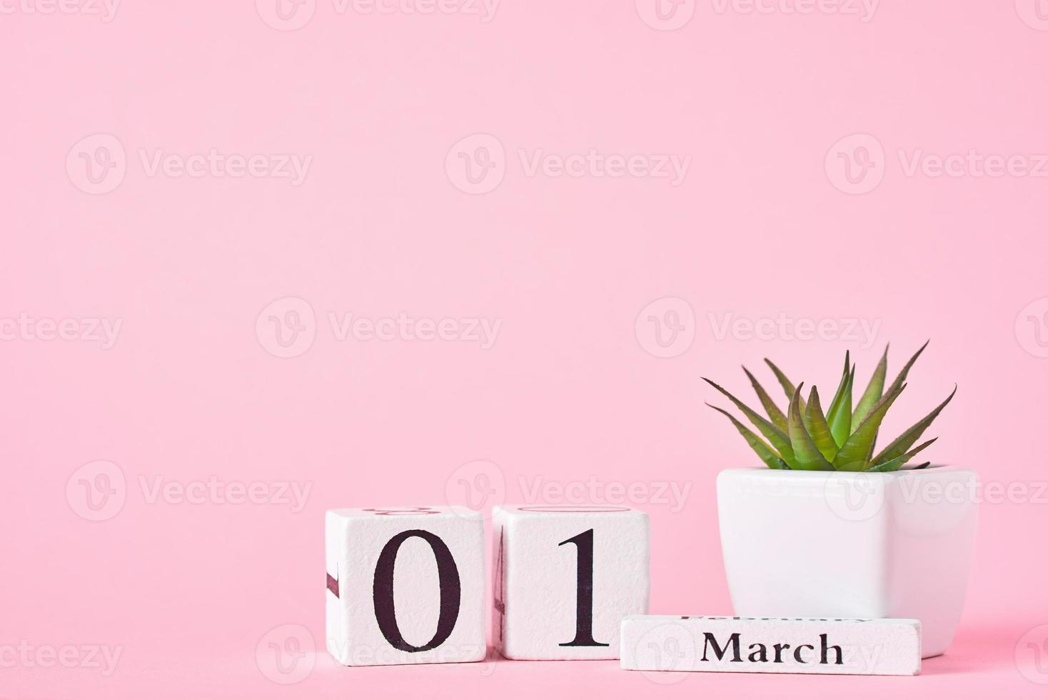 calendrier en bois avec date du 1er mars et plante sur fond rose photo