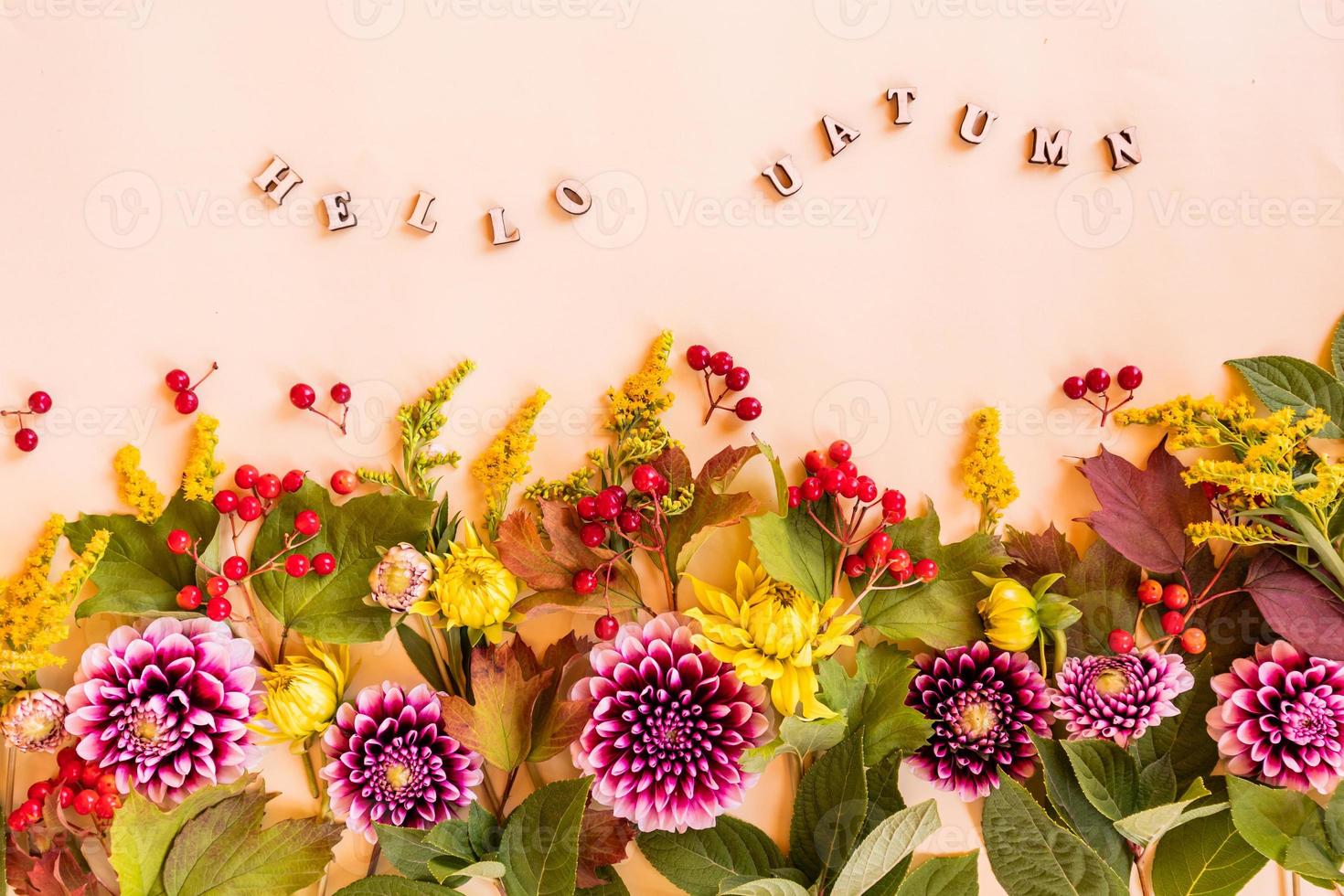 composition d'automne festive de fleurs, feuilles et baies de jardin coupées. fond beige avec l'inscription -bonjour l'automne. bordure florale. photo