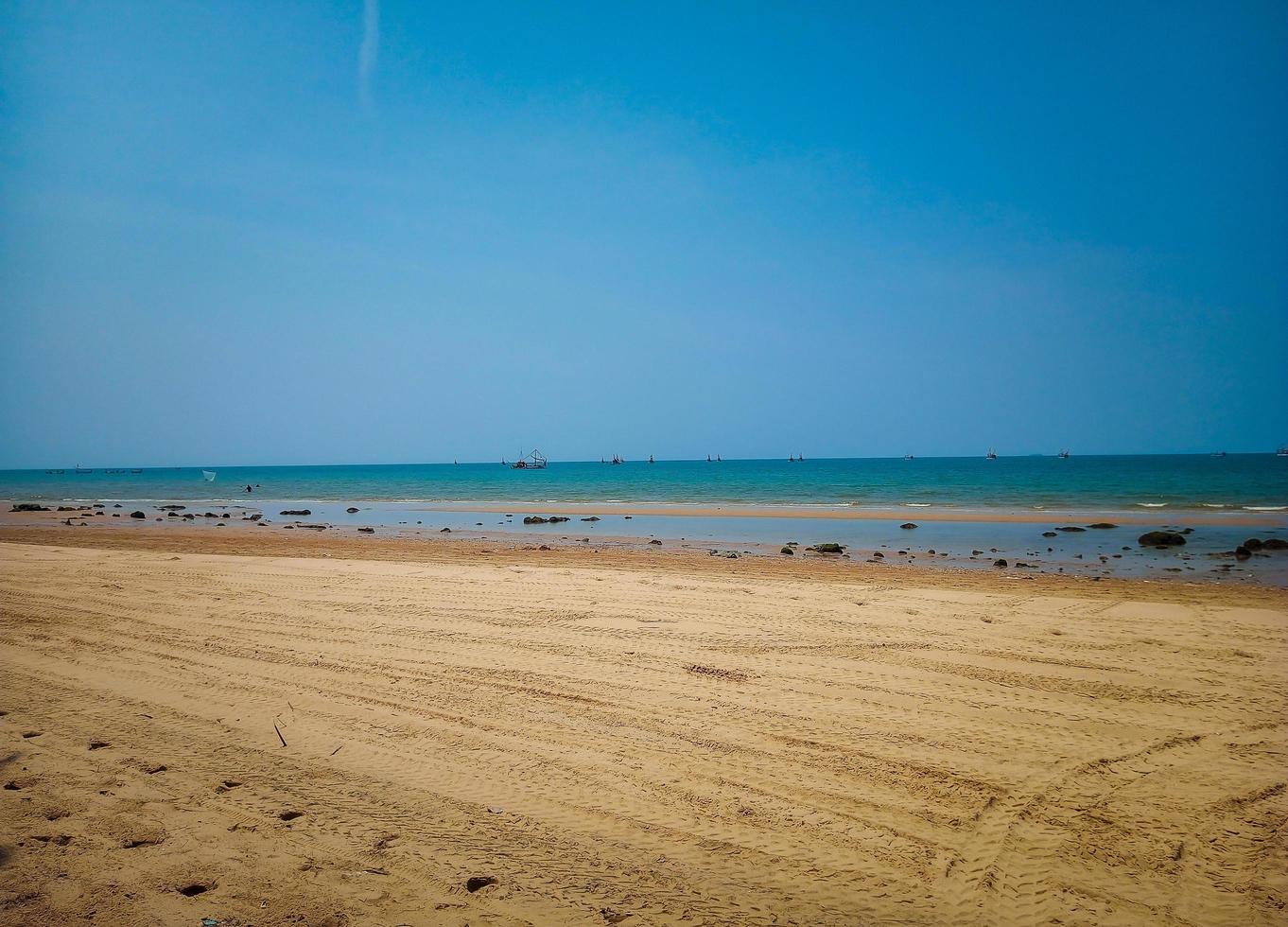 vue sur la plage avec sable blanc, vagues et ciel bleu. on voit aussi un pin crevette qui porte le nom latin casuarina equisetifolia photo