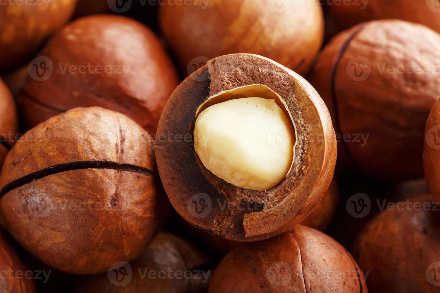 La texture de la noix de macadamia bio fruits naturels frais décortiqués un écrou en vue rapprochée plein cadre photo