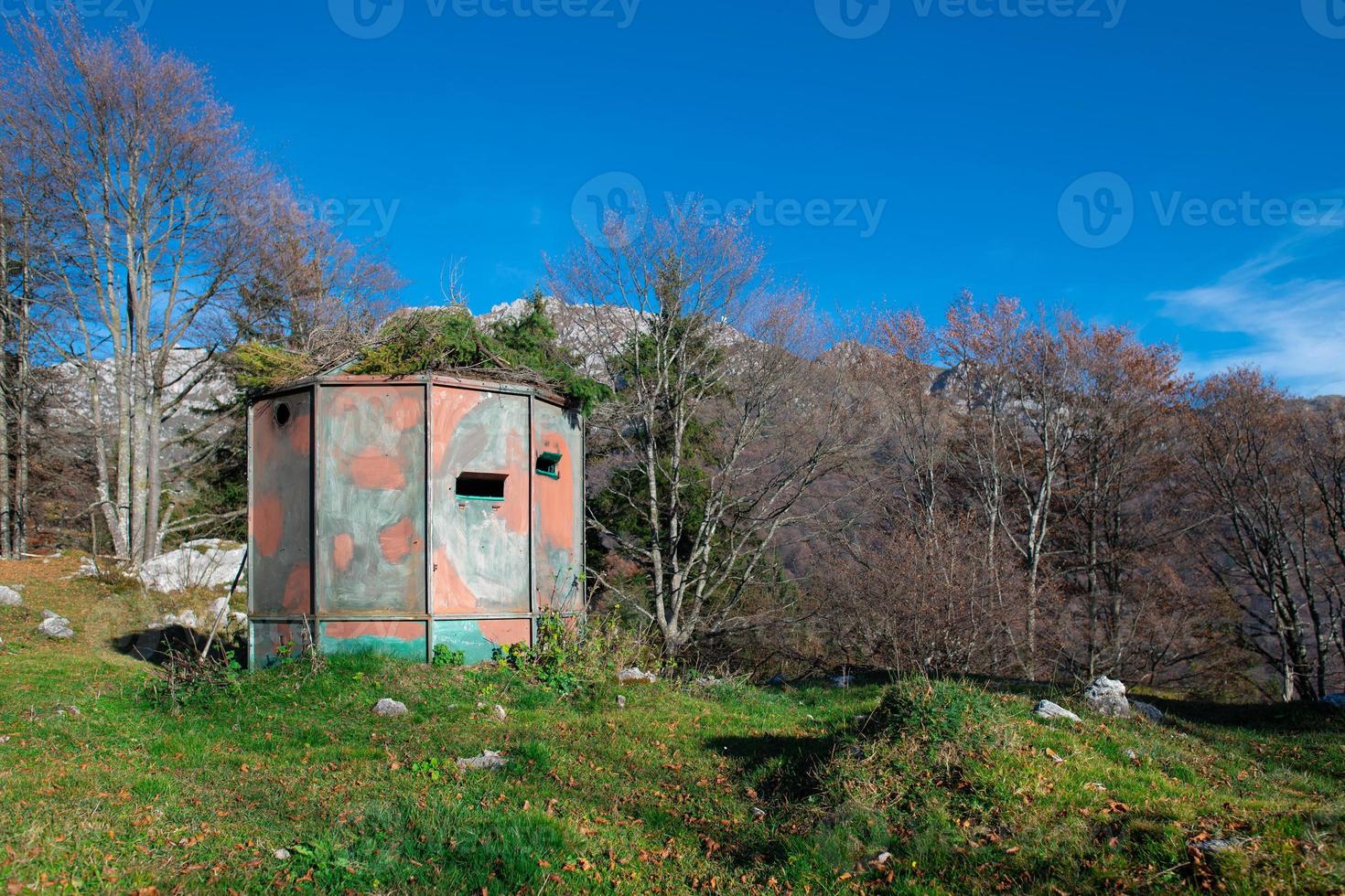 cabanon de chasse camouflé en couleurs naturelles photo