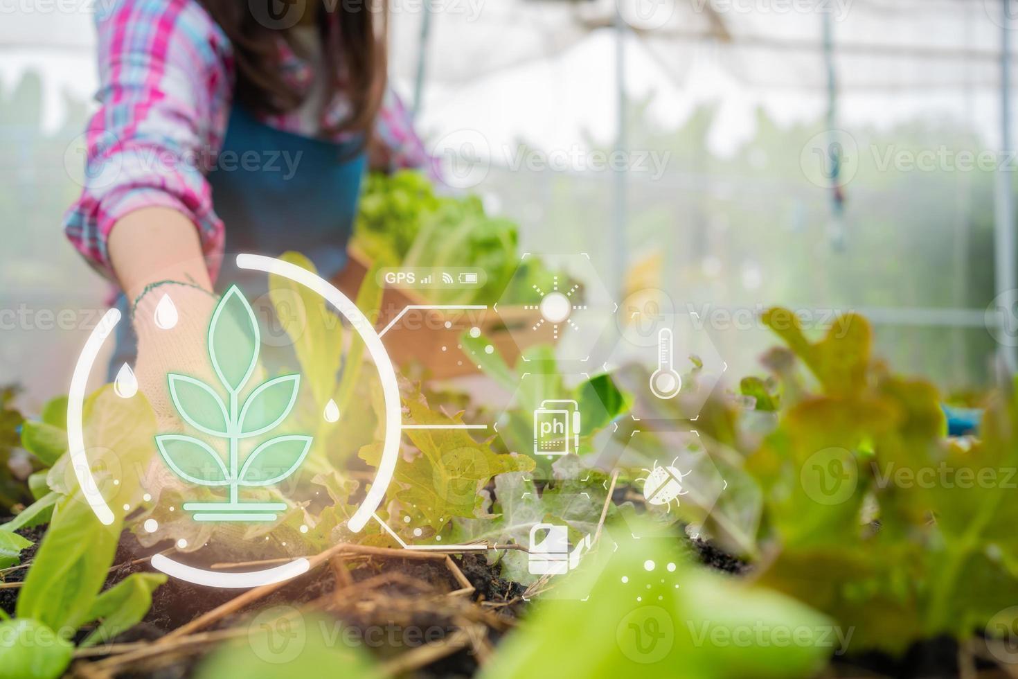 concept de traitement de la culture d'un champ agricole avec la technologie numérique, tableau de bord numérique pour la surveillance de l'usine, agricultrice tenant un panier de légumes frais dans une ferme biologique. photo