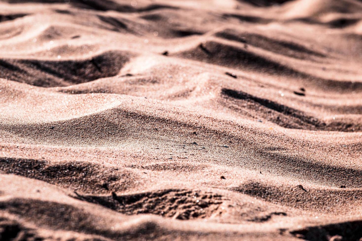 gros plan de sable pendant la journée photo