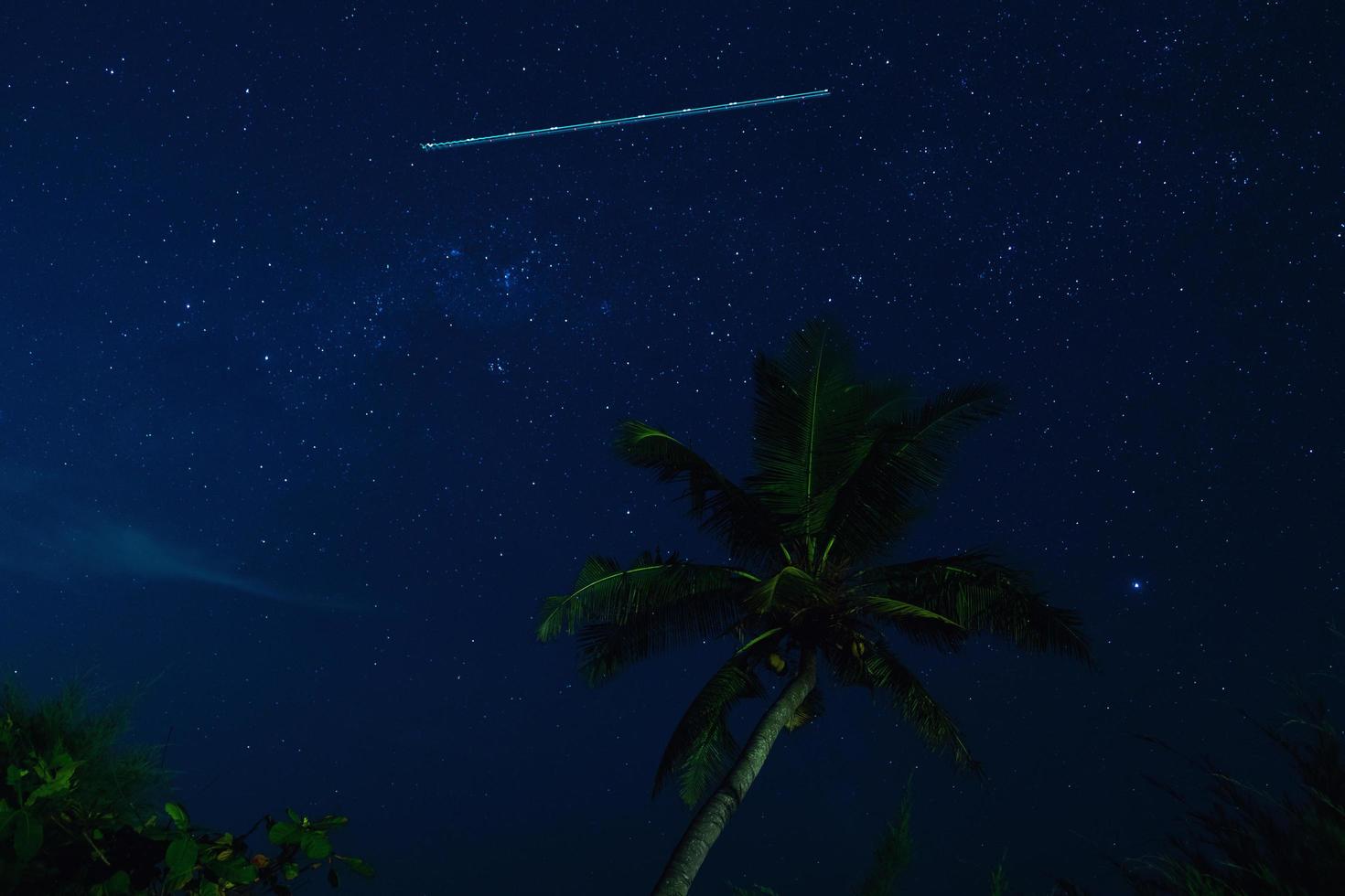 ciel nocturne pittoresque avec beaucoup d'étoiles et de palmiers photo