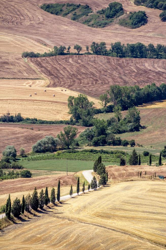Vue sur une campagne vallonnée en Italie photo