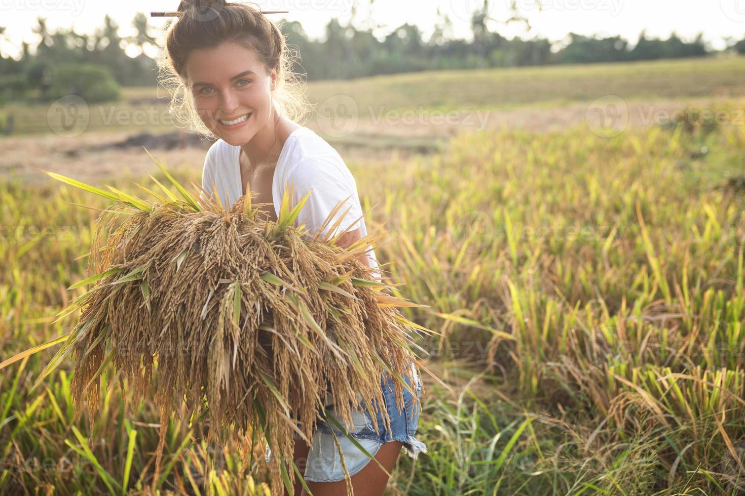 agricultrice heureuse pendant la récolte sur la rizière photo