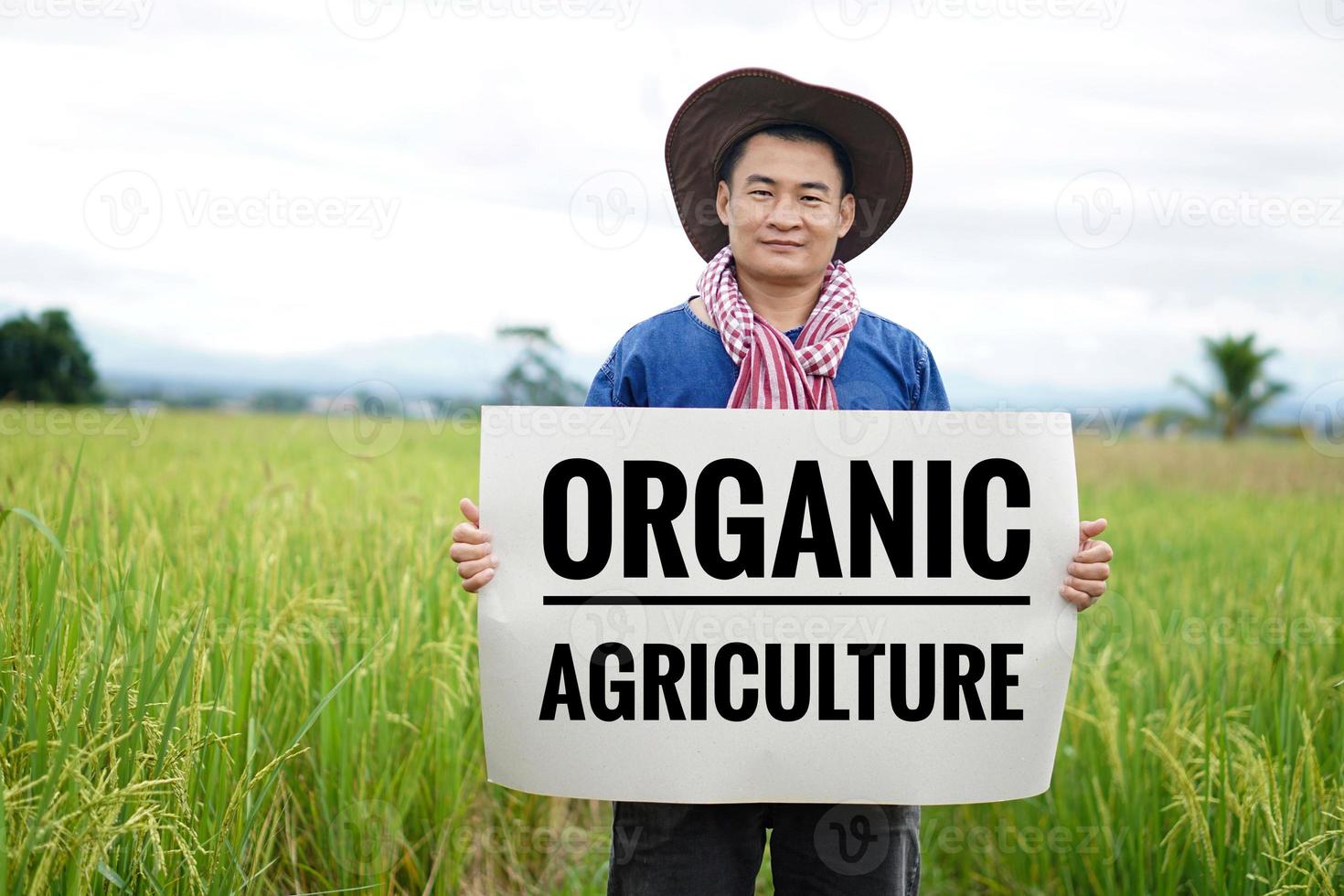 un agriculteur asiatique tient une bannière en papier avec du texte agriculture biologique dans une rizière. concept, campagne pour faire de l'agriculture biologique, pas de pesticides et d'herbicides ou de produits chimiques. photo