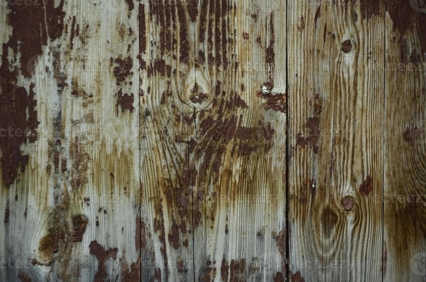 texture de mur en bois photo