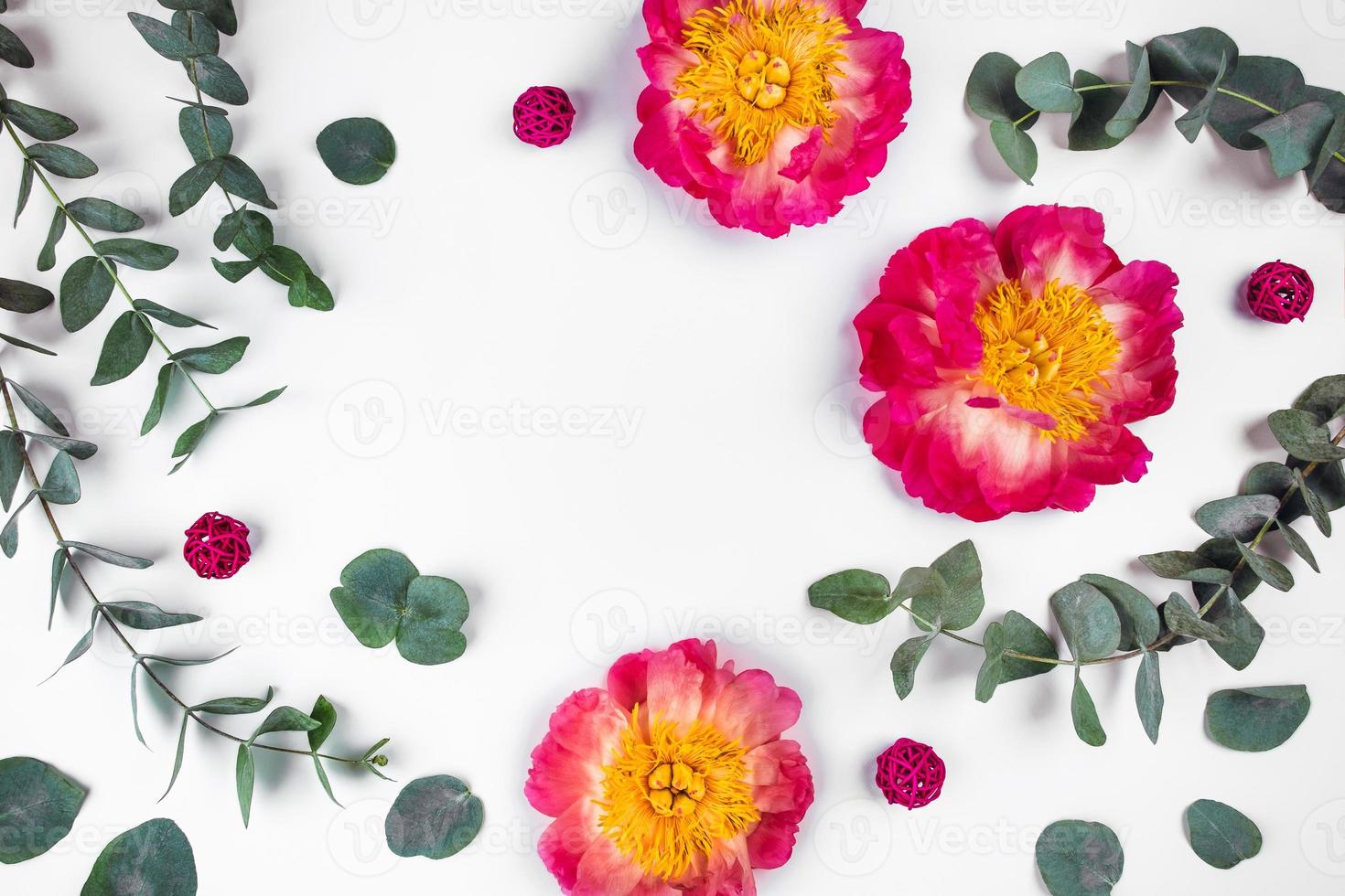 beaux brins d'eucalyptus et de pivoines sur fond blanc, vue de dessus. photo