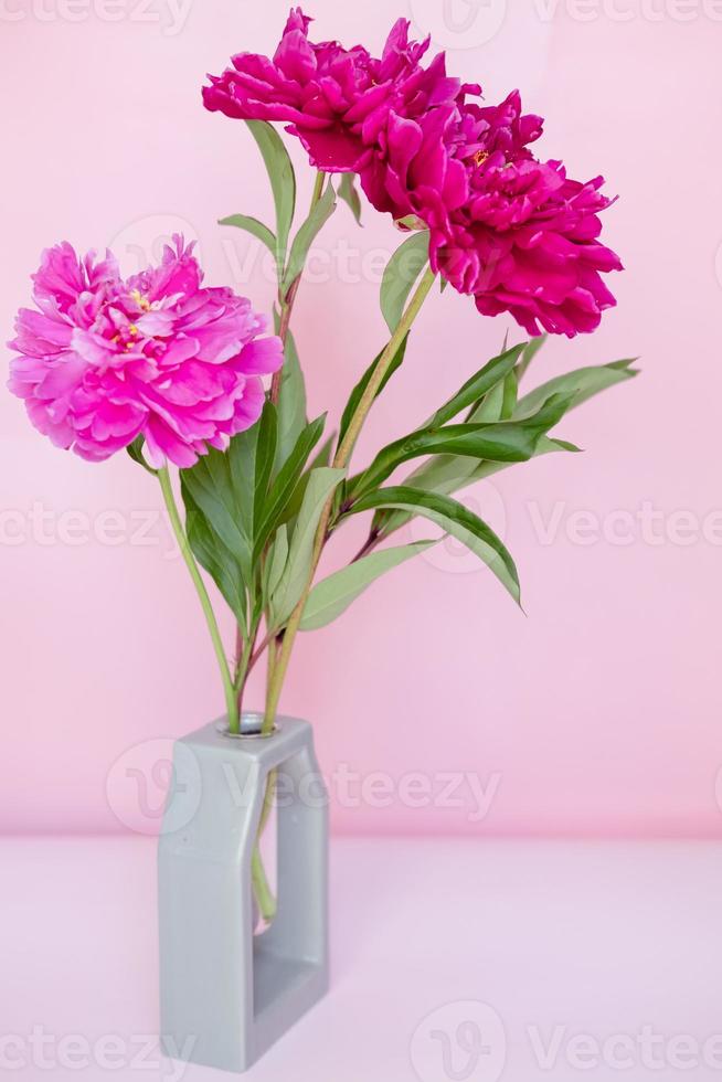 bouquet luxuriant de pivoines roses et bordeaux gros plan sur fond rose photo