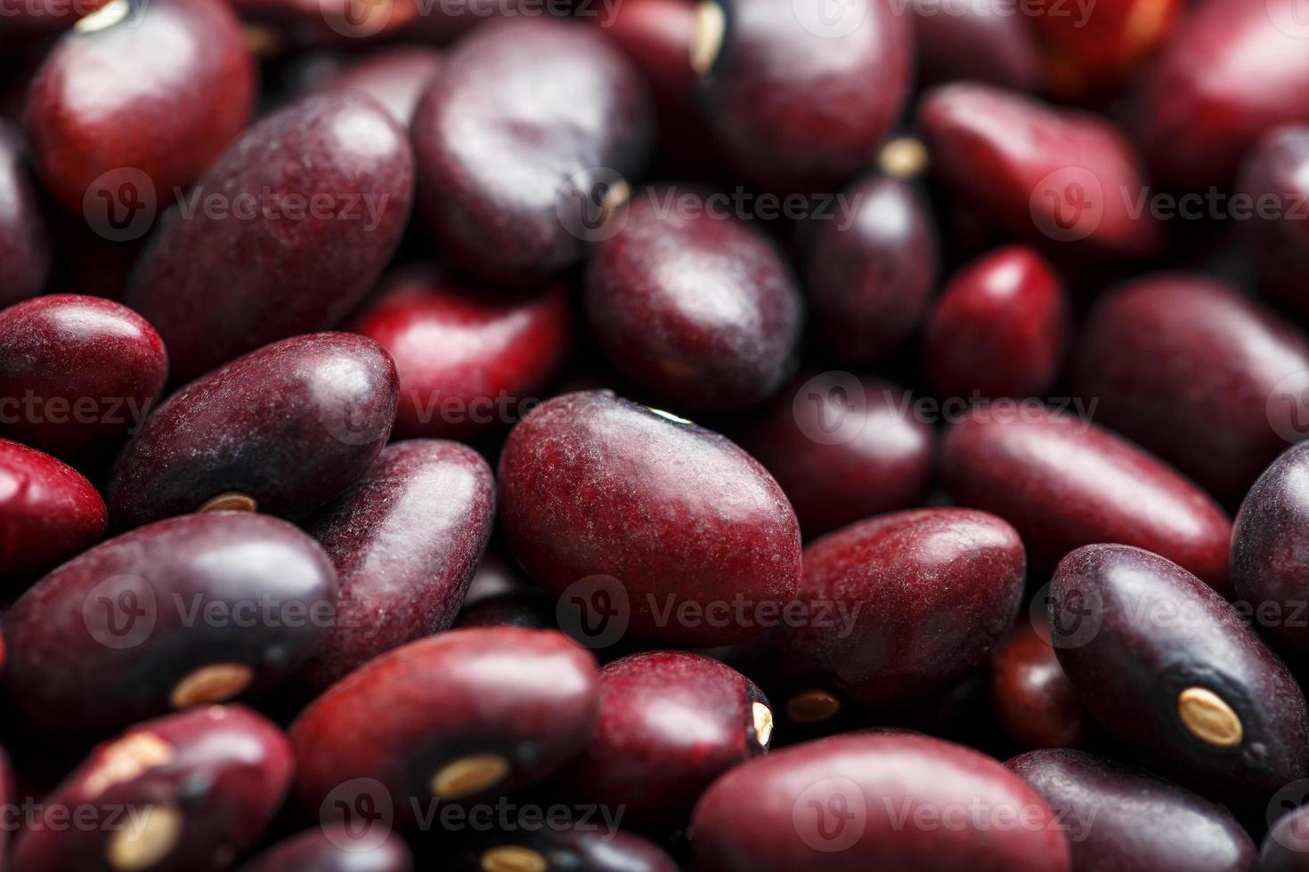 Libre d'un grain de graines de haricots rouges. la texture des légumineuses. gros plan sur fond de haricots rouges, graines de haricots rouges photo