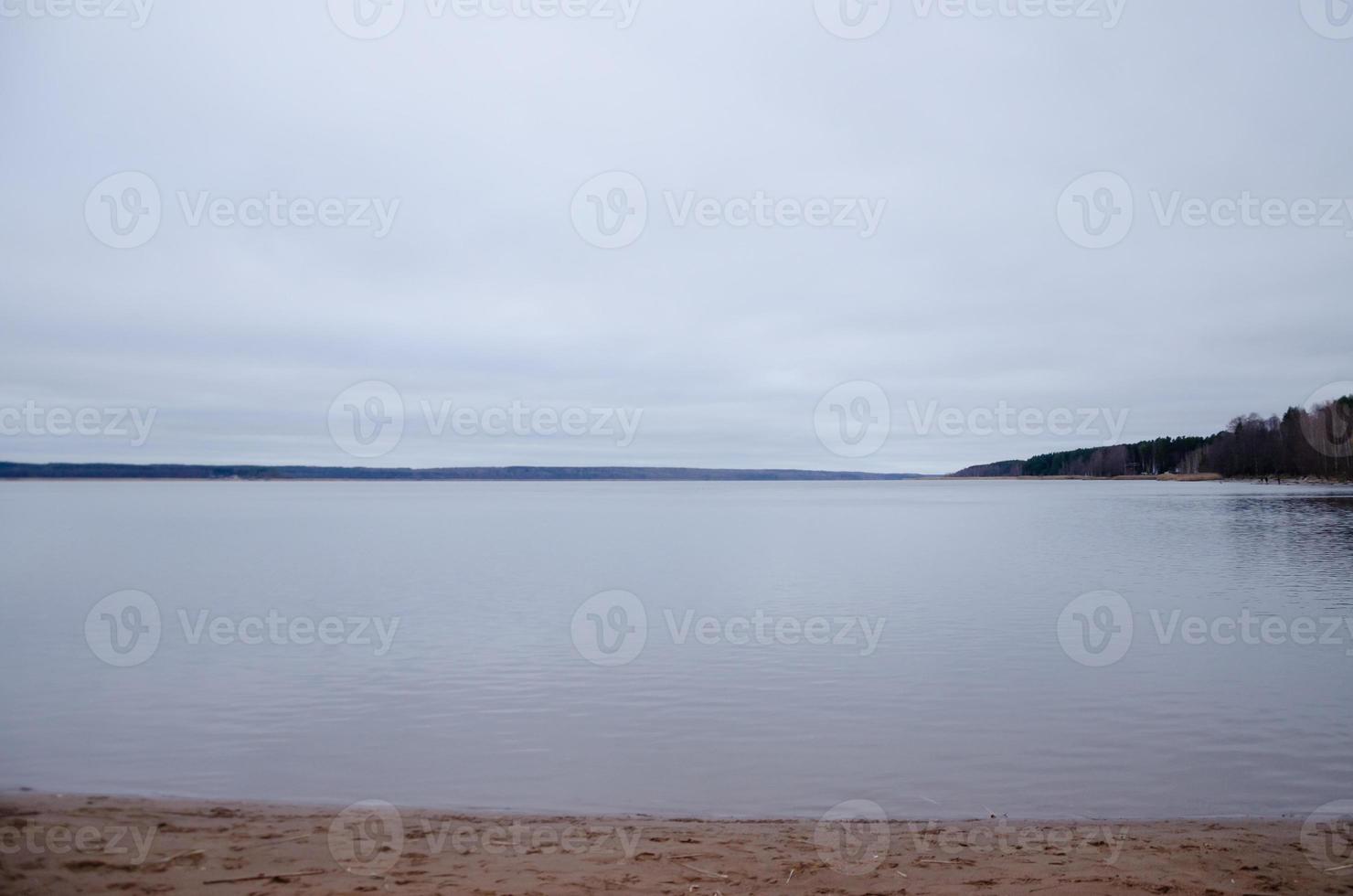 eau calme sur le lac, sur les roseaux de bouleaux au loin de la forêt photo