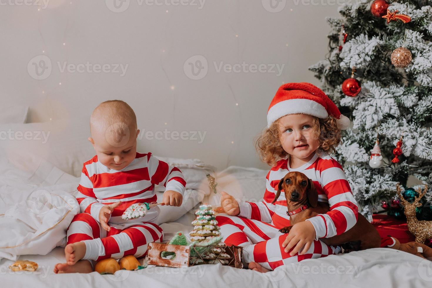 les enfants en pyjama rouge et blanc assis dans leur lit partagent des bonbons de noël entre eux et avec leur chien. frère et soeur, garçon et fille célèbrent la nouvelle année. espace pour le texte. photo de haute qualité