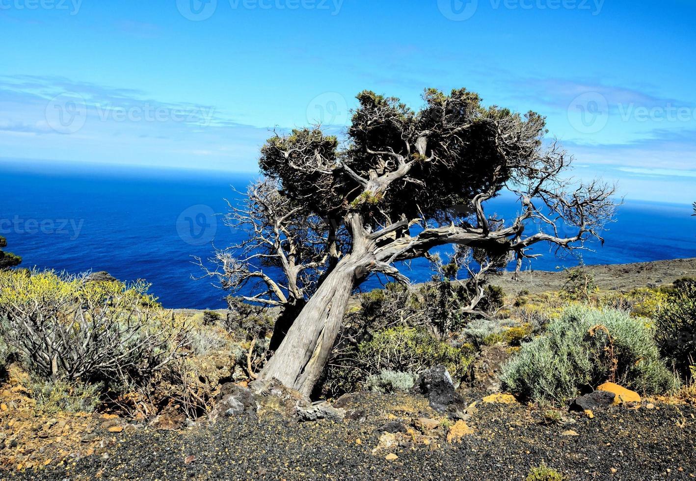 paysage sur les îles canaries photo