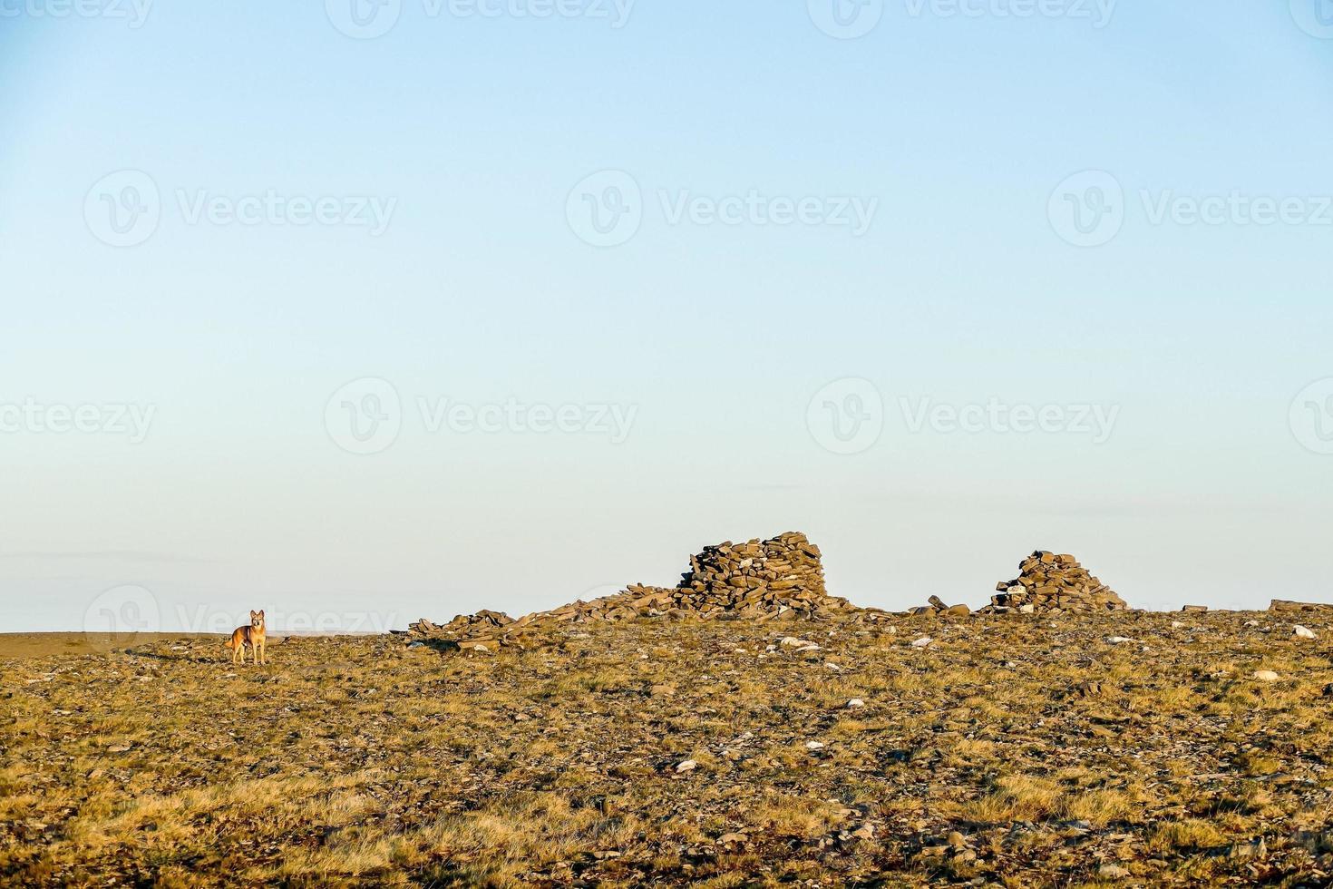 paysage en suède, europe photo