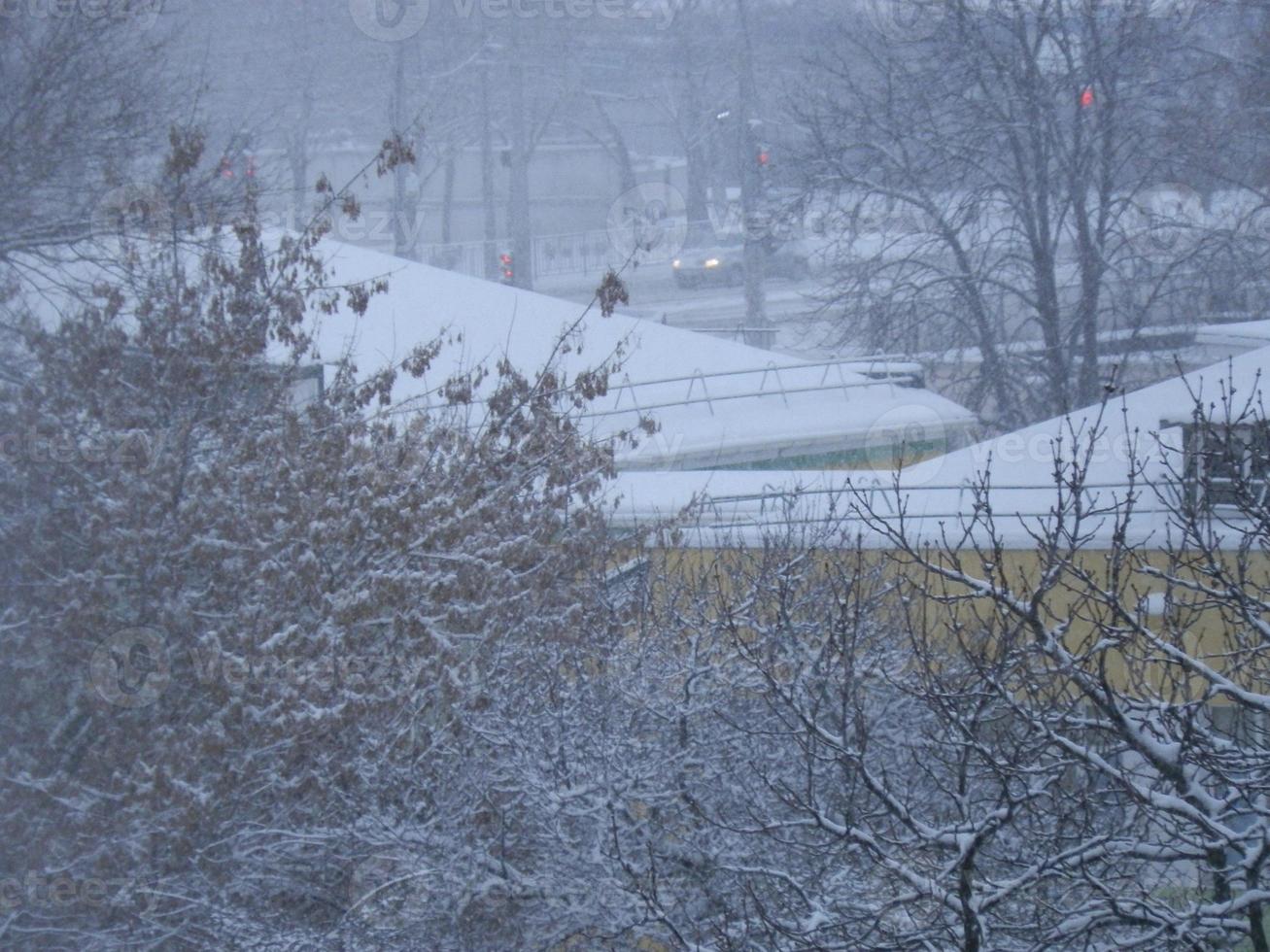 arbres enneigés dans une tempête de neige dans la ville photo