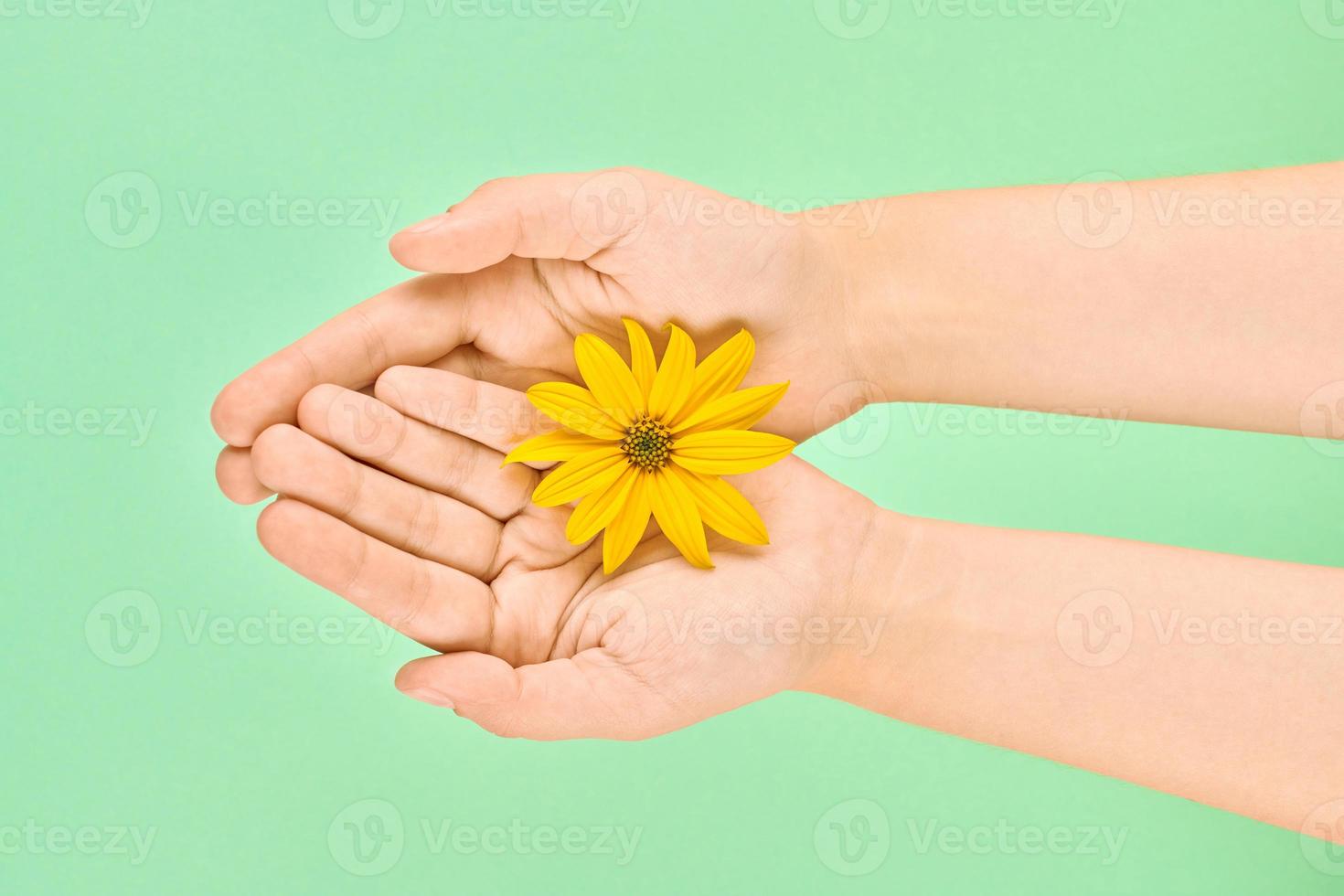 fleur jaune dans les paumes femelles, concept d'hygiène des mains et de soins cosmétiques, symbole de la nature pure photo