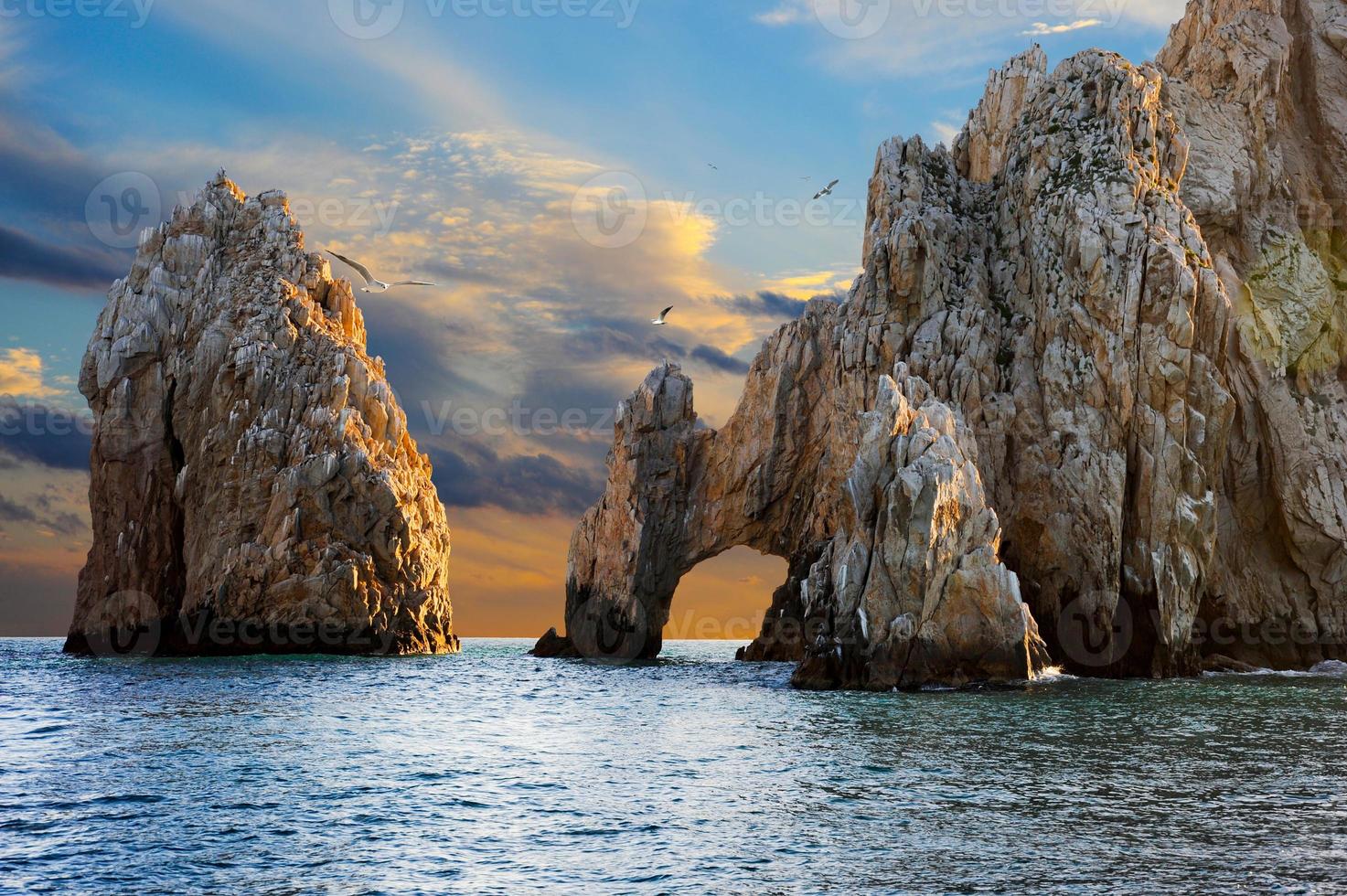 mouettes devant l'arc el arco de cabo san lucas au coucher du soleil. photo