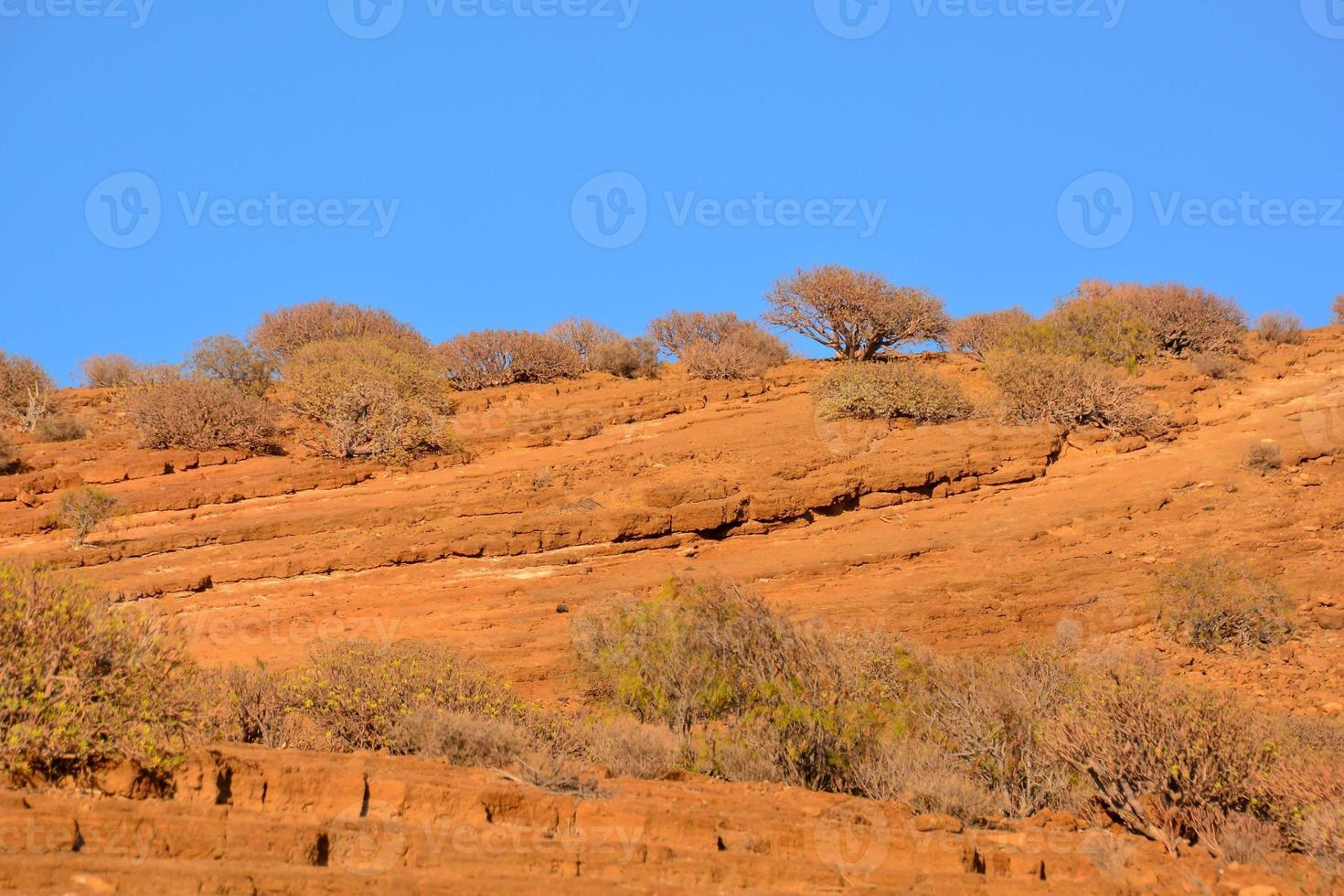 paysage sur les îles canaries photo