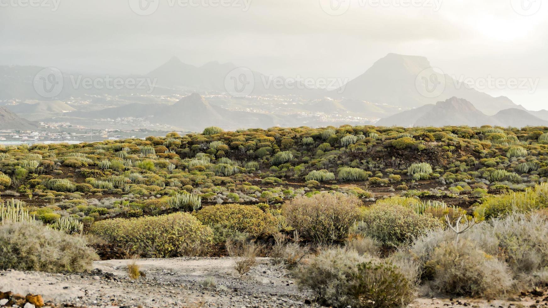 paysage sur les îles canaries photo