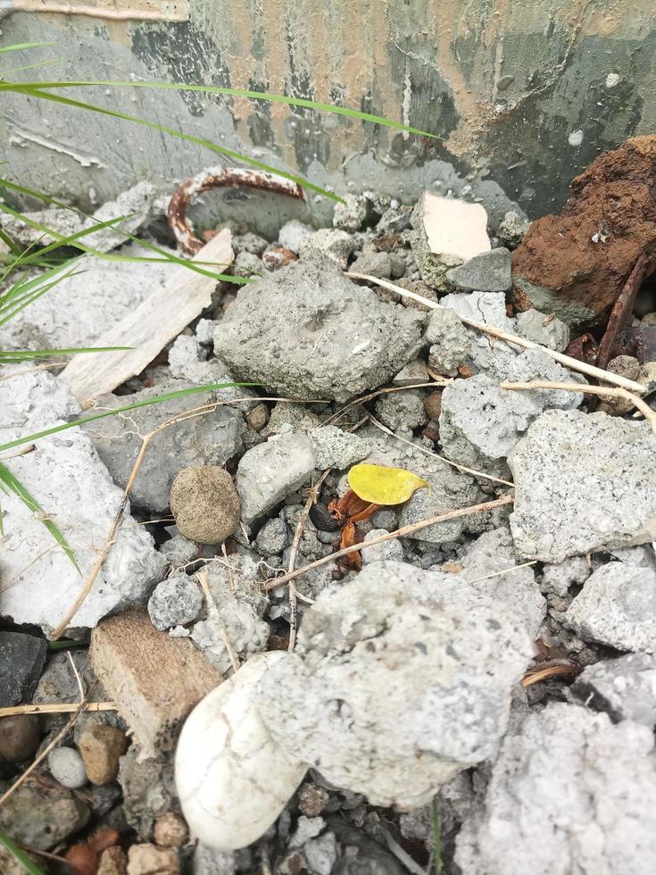 fragments de chauve-souris, démolition de fissures dans les murs de maisons ou d'immeubles de grande hauteur. débris de construction du tremblement de terre. photo