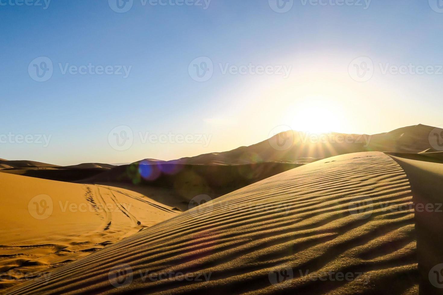 heure d'or dans les dunes photo