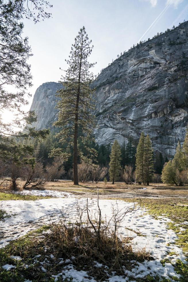 fond de la vallée de Yosemite pendant la journée photo