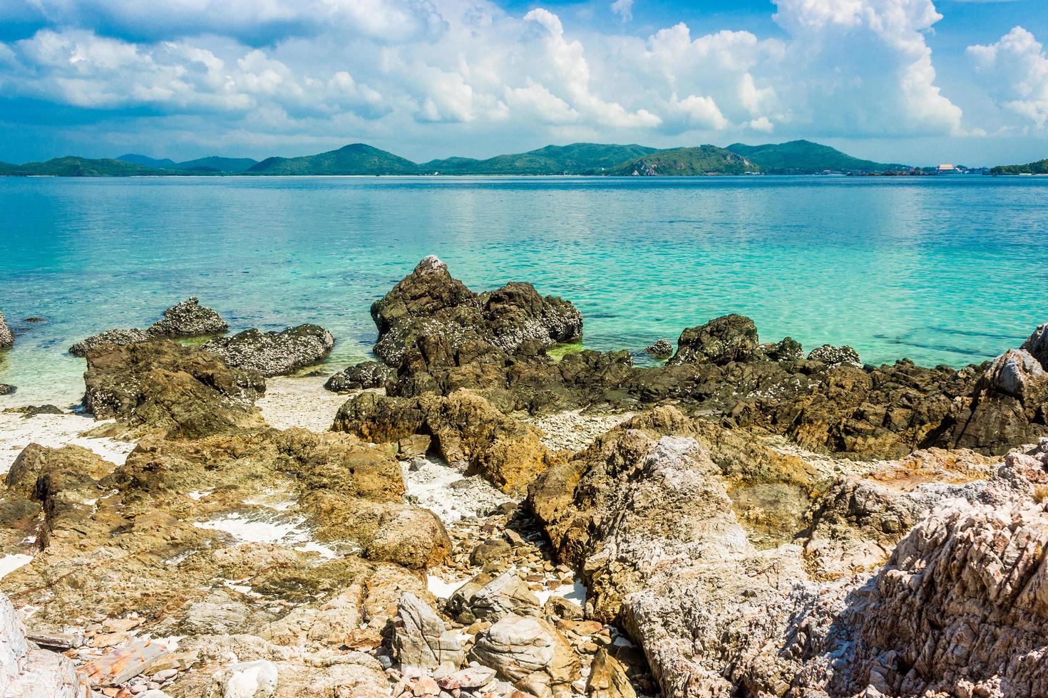 île tropicale pendant la journée photo