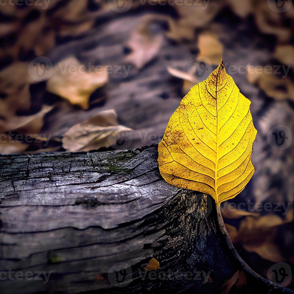 une feuille jaune se trouve seule sur un tronc d'arbre photo