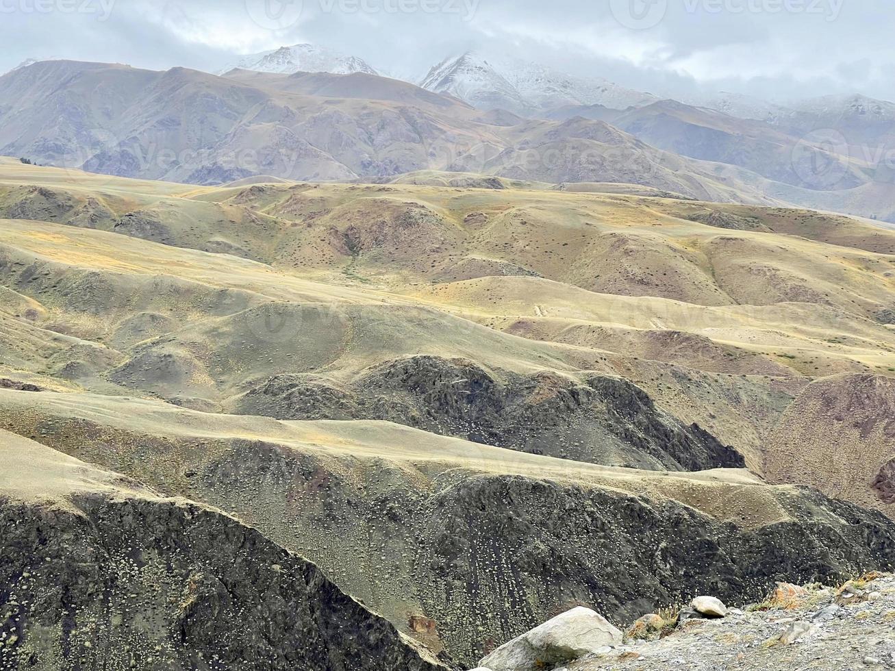 montagnes de velours jaune de l'altaï, russie photo