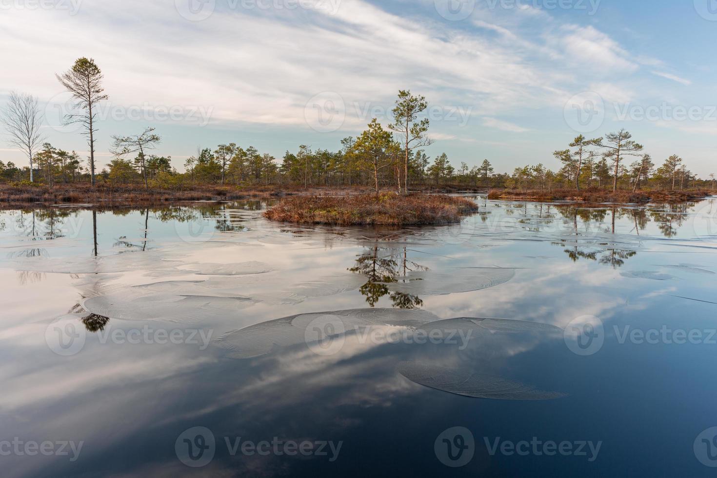 printemps dans les lacs des marais photo