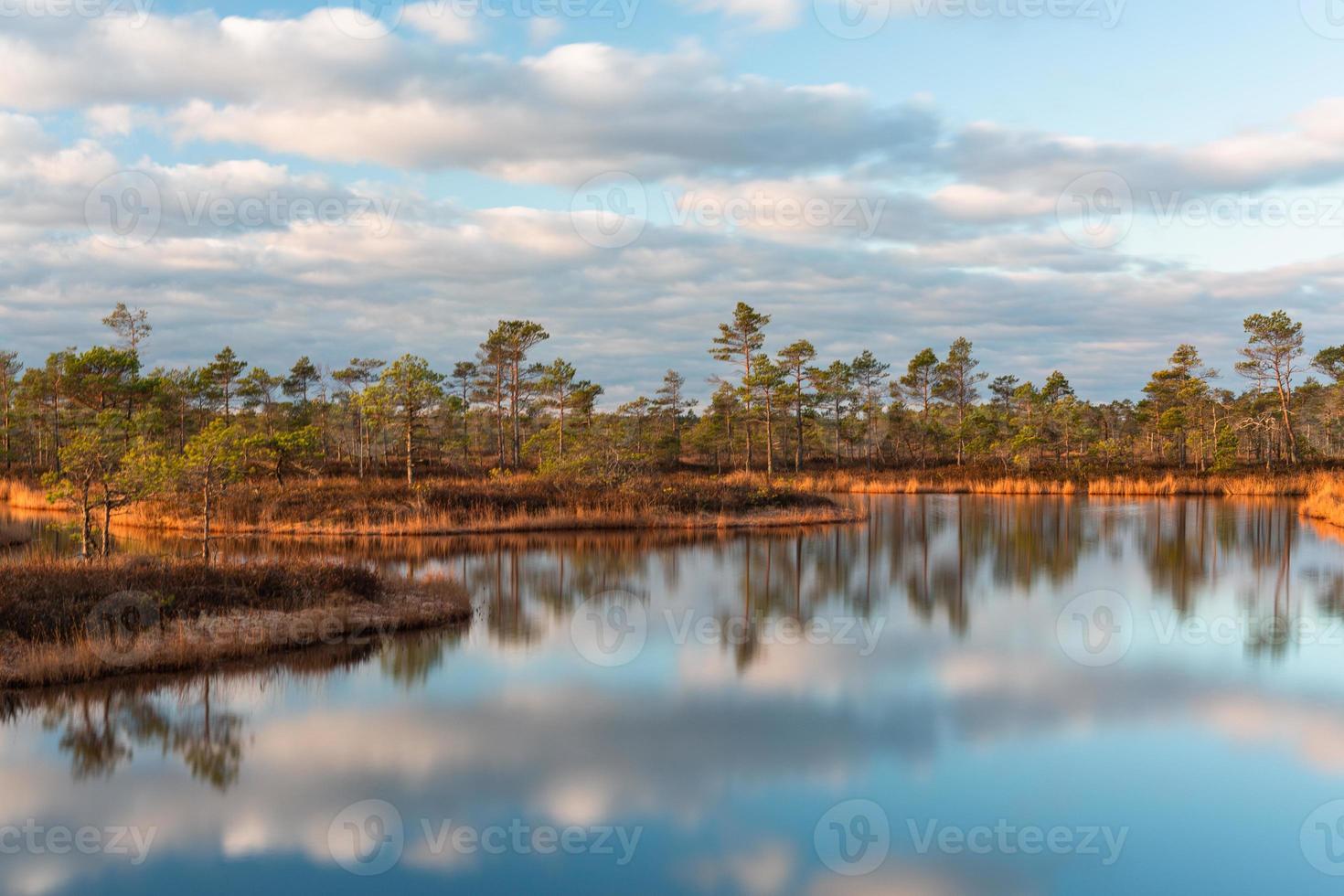 printemps dans les lacs des marais photo