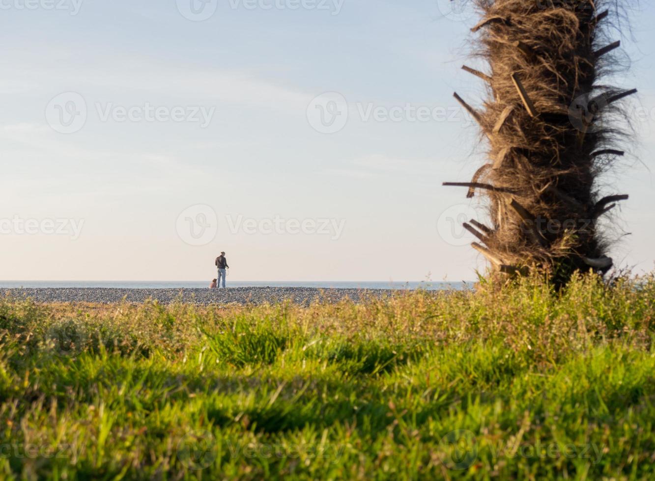 les gens sur la plage de galets de printemps au coucher du soleil. silhouettes de personnes sur le rivage. vacances à la plage. repose sur la mer. rivage rocheux et palmiers. photo