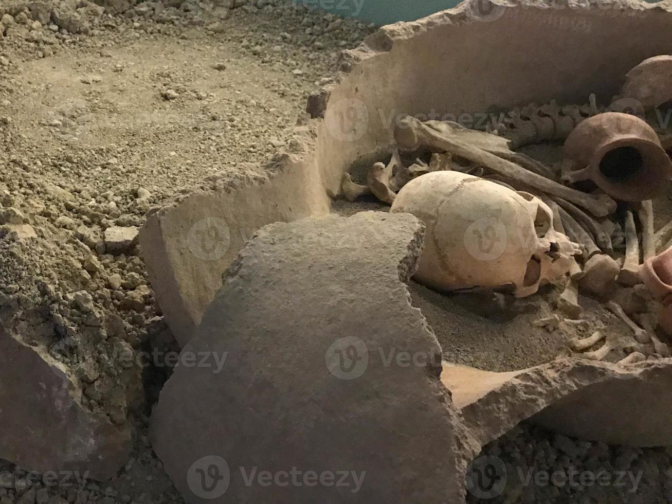 fouilles archéologiques. restes humains os de squelette, crânes dans la tombe au sol. véritable processus de pelle. à l'extérieur, copiez l'espace, gros plan photo