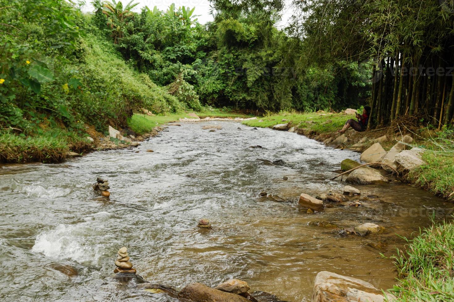 vue sur une rivière de montagne dans la forêt tropicale. chiang dao, thaïlande. photo