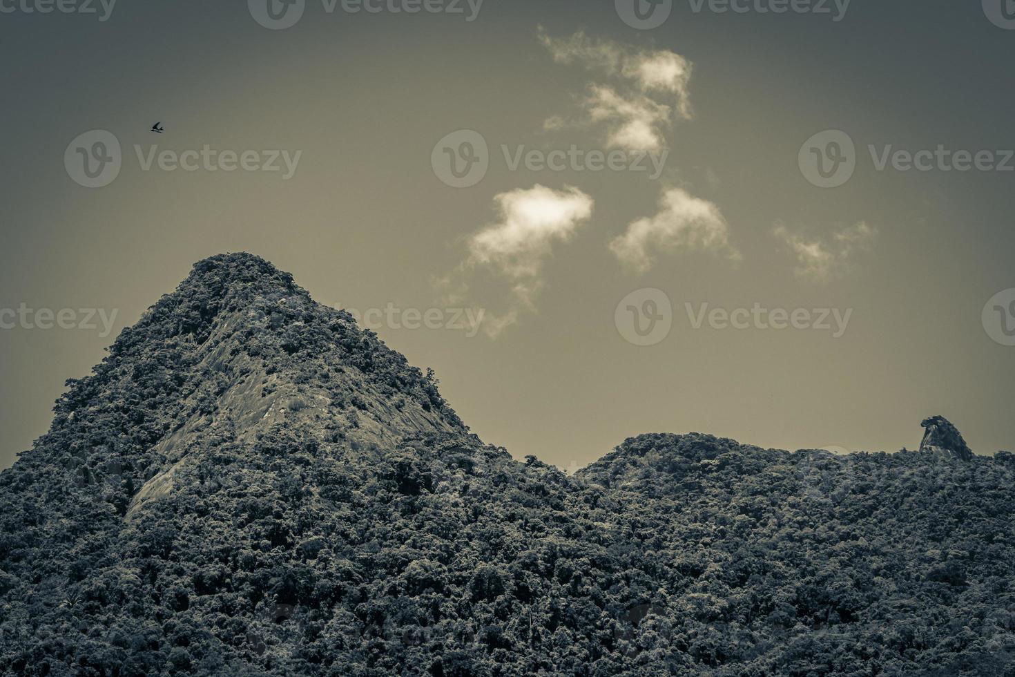 abraao montagne pico do papagaio avec nuages ilha grande brésil. photo