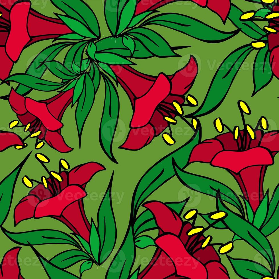 motif graphique asymétrique harmonieux de fleurs rouges sur fond vert, texter, design photo